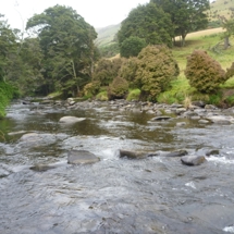 Catlins River