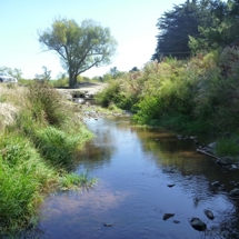 Trotters Creek
