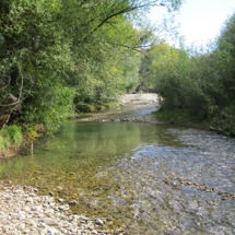 Cardrona River