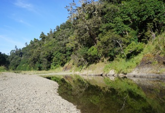 Waipapa River at Forest Ranger
