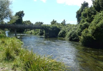 Vickers Creek @ Whataroa North Base (3)