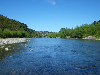 Wellington Region