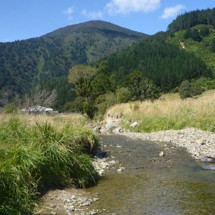 Graham River