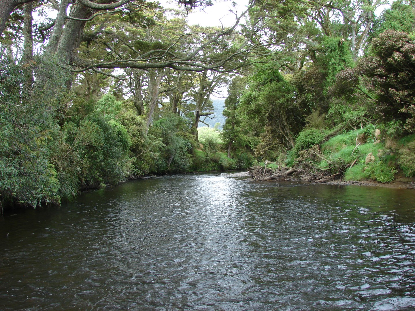 Tahakopa River