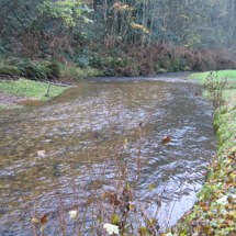 Tokomairiro River