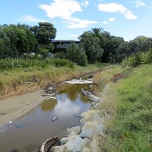 Wainui Stream