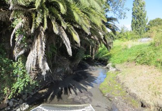 Kopuawhakapata at Hirini Street