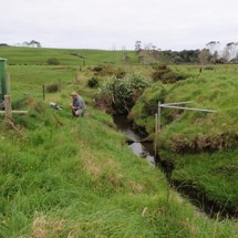 Vaughans Stream