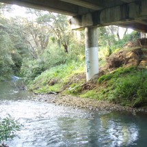 Opanuku Stream