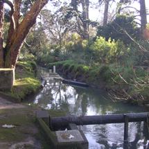 Oakley Creek 