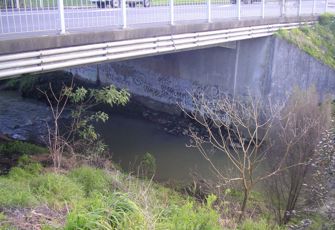 otara kennel hill