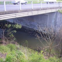 Otara Creek 