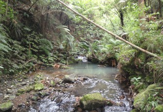 tributary