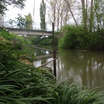 Wairoa River