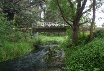 waitangi