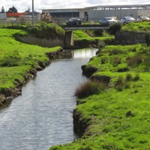 Puhinui Stream