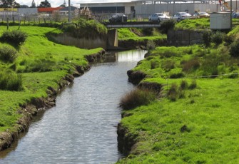 puhinui