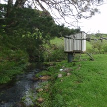 Ngakoroa Stream