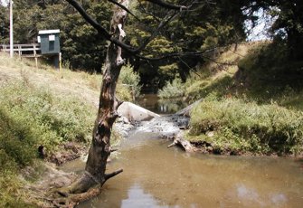 kaukapakapa