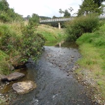 Makarau River