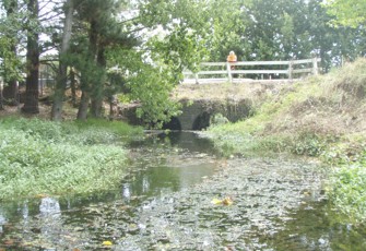 whangamarie
