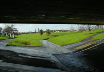 pakuranga botany