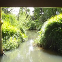 Matakana River
