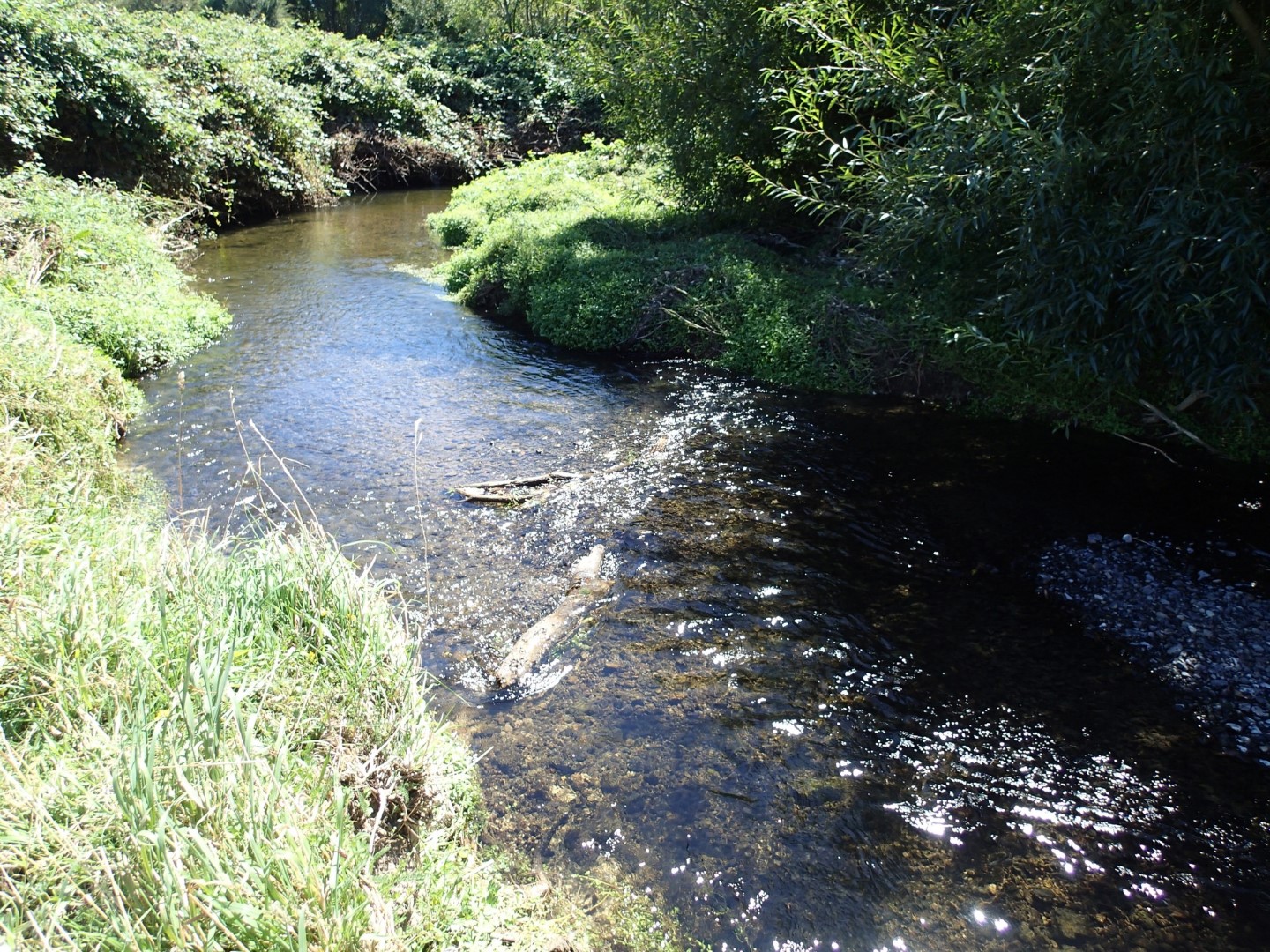 Pauatahanui Stream
