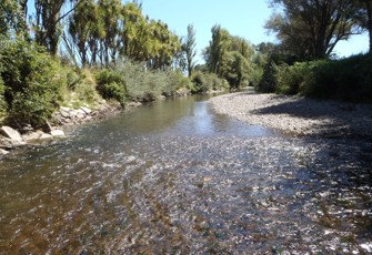 Ohau at Haines Property