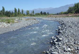 Kowhai River