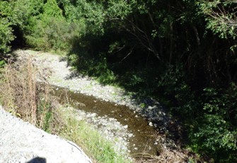 Okarahia Stream
