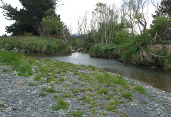 Middle Creek