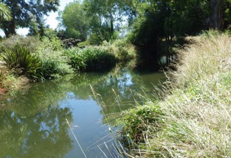 Lyell Creek upstream
