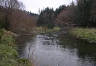 Hawkins River