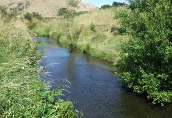 Kaituna Stream