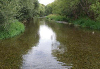 Selwyn River at Coes Ford site