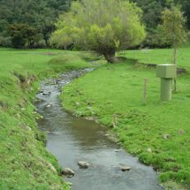 French Farm Stream