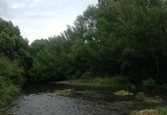 Waitohi River site looking upstream