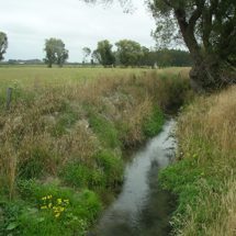 Lower Ashley Catchment