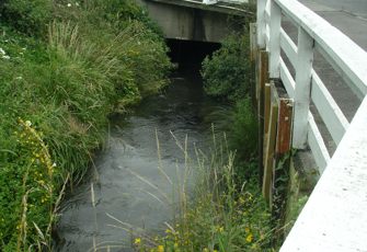 Waikuku Stream site