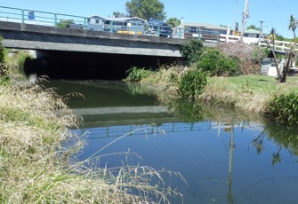 Lyell Creek downstream