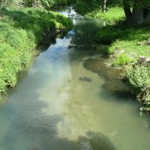 Saltwater Creek