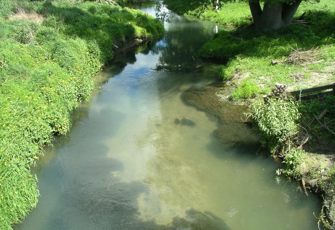 Saltwater Creek site