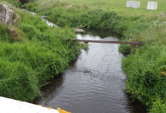 Boggy Creek site