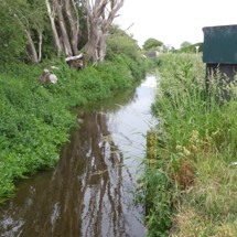 Southern Ellesmere Streams