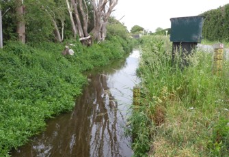 Doyleston Drain site