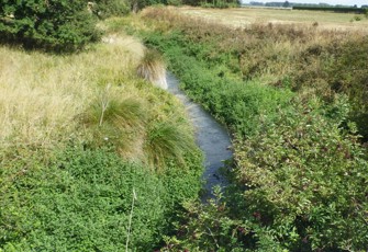 Harts Creek site