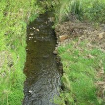 Takamatua Stream