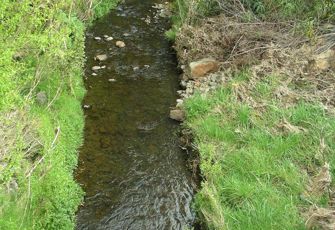 Takamatua Stream