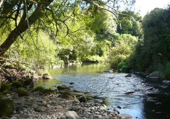 Waingongoro River at Eltham Camp 2